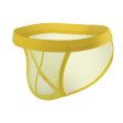 (image for) New Low-rise Breathable Mesh Panty For Men Briefs