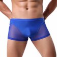 (image for) Men Naked Feeling Comfortable Ice Silk Boxer Briefs