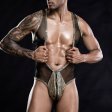(image for) Golden One-piece Suit Mesh Night Wear For Men