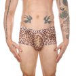(image for) Men Sexy Transparent Leopard Mesh Boxers Briefs
