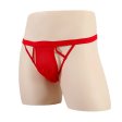 (image for) Men See-through Hollowed-out Mesh Panty T-back