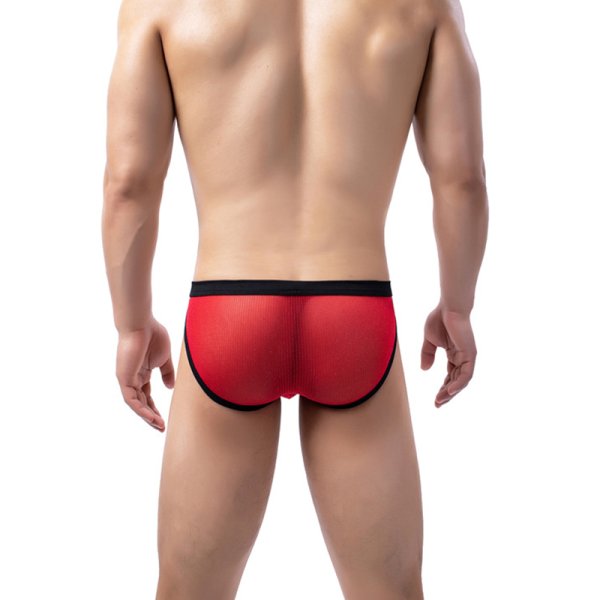 (image for) Characteristic Men See-through Briefs Panty