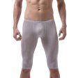 (image for) Men Hot Ice Silk Elastic Fifth Pants