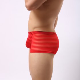 Men's Hot Stripe See-through Boxers