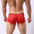 (image for) Men's Hot Stripe See-through Boxers