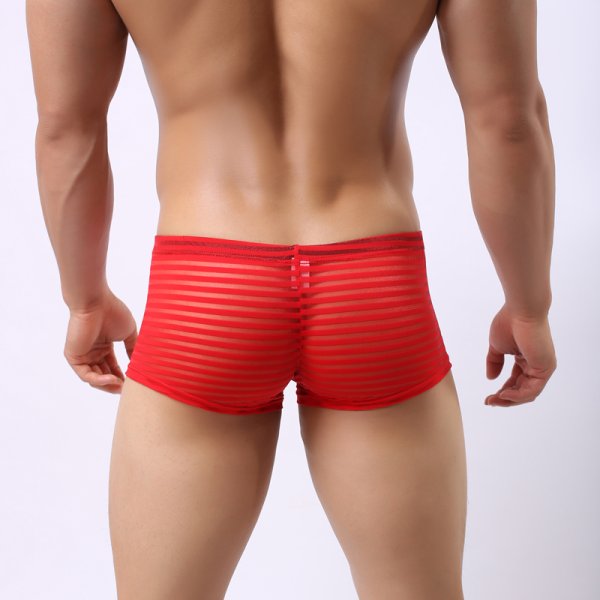(image for) Men's Hot Stripe See-through Boxers