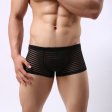 (image for) Men's Hot Stripe See-through Boxers