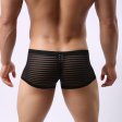 (image for) Men's Hot Stripe See-through Boxers