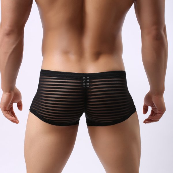 (image for) Men's Hot Stripe See-through Boxers