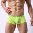 (image for) Men's Hot Stripe See-through Boxers