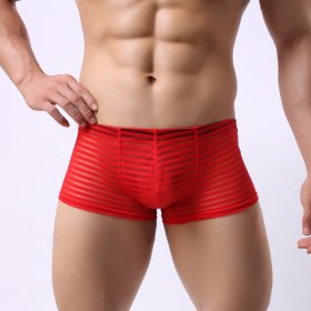 Men's Hot Stripe See-through Boxers