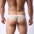 (image for) Men's See-through Lace Sexy Panty