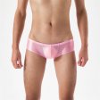 (image for) Sexy High-elastic Smooth Glossy Panty For Men