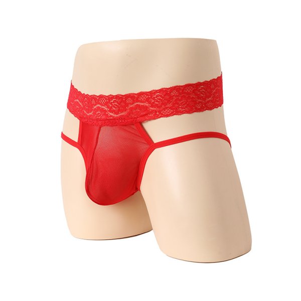 (image for) New Passion Lace Hollowed-out Sexy Panty