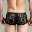 (image for) Sexy Men's See-through Lace Boxers Briefs