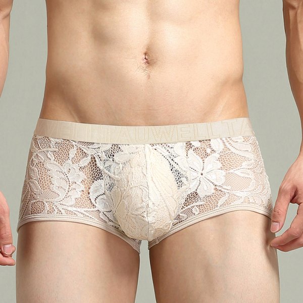 (image for) Sexy Men's See-through Lace Boxers Briefs