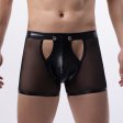 (image for) Men's Hot Front Opening Mesh Panty Boxers