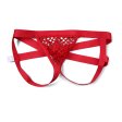 (image for) Sexy Men's Breathable Mesh Assless Panty