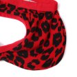 (image for) Men's Sexy Leopard Spliced With Lace Panty