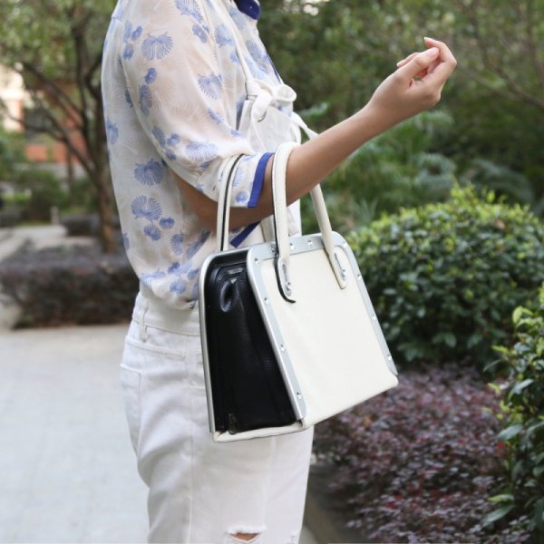 (image for) Handbag Remote Sex Machine
