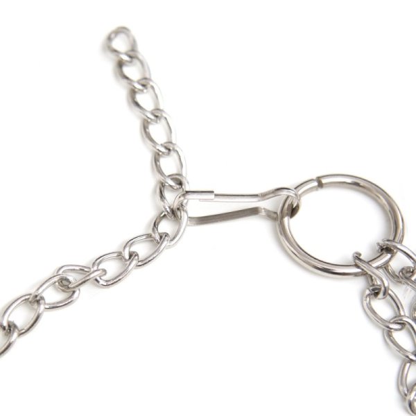 (image for) Japanese Clover Clamps With Cock Ring Set