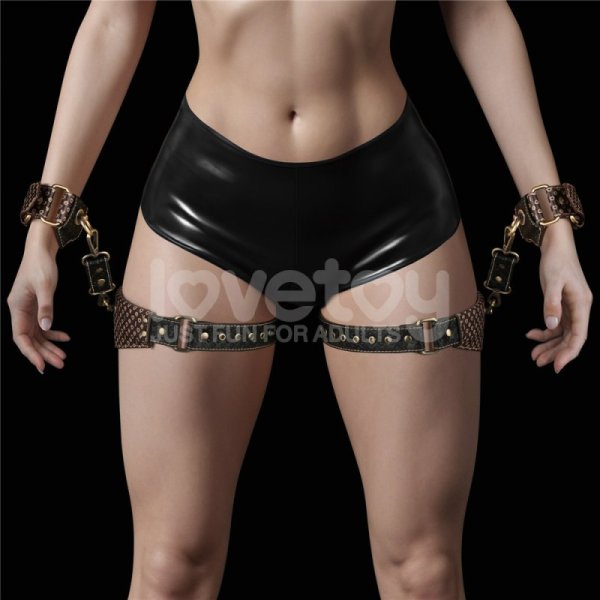 (image for) Rebellion Reign Harness Set