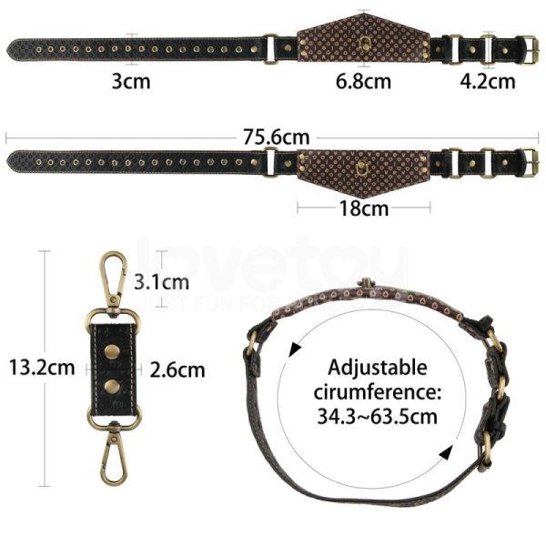 (image for) Rebellion Reign Harness Set