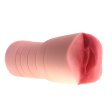 (image for) Star Girl Realistic Pocket Pussy - Rose