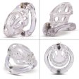 (image for) Kidding Zone Plastic Chastity Cage
