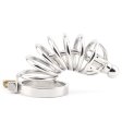 (image for) Master Series Asylum 6 Stainless Steel Chastity Cage