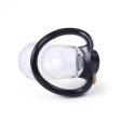 (image for) Rikers Locking Chastity Device - Transparen