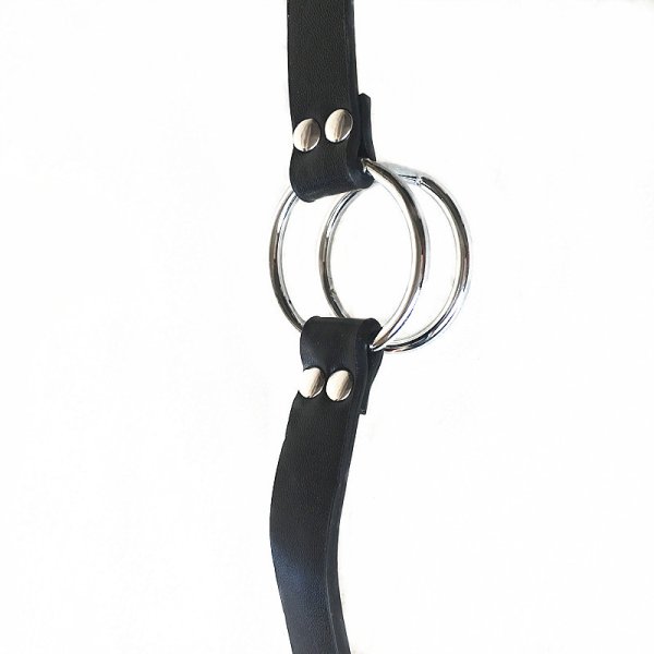(image for) Double Metal Locking Ring Gag