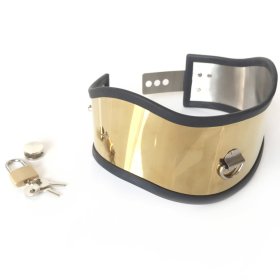Posture Adjustable Stainless Steel Collar