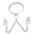 (image for) Chrome Slave Collar With Japanese Clover Clamps
