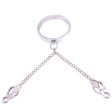 (image for) Chrome Slave Collar With Japanese Clover Clamps