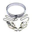(image for) Chrome Slave Collar With Japanese Clover Clamps