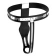 (image for) Female Steel Premium Chastity Belt