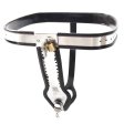 (image for) Female Chastity Belt With Old Lock