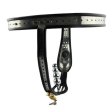(image for) Nutshell Locking Steel Chastity Belt For Male