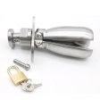 (image for) Deluxe Chastity Anal Plug