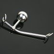 (image for) Anchor With Rope Hook