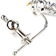 (image for) Chastity Cage Urethral Tube With Anal Plug