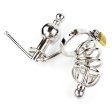 (image for) Chastity Cage Urethral Tube With Anal Plug