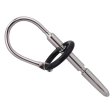 (image for) Penis Plug and Glan's Ring