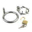 (image for) Stainless Steel Crown of Thorns Chastity Device