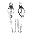 (image for) Japanese Clover Clamps With Chain