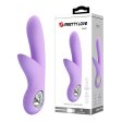 (image for) Prettylove Rabbit Vibrator
