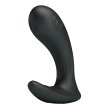 (image for) Thumping Prostate Vibrator
