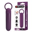 (image for) Mini Massager Vibrator