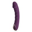 (image for) Textured Dildo G-Spot Vibe